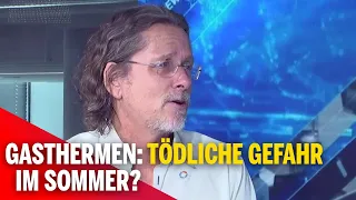 Gasthermen: Tödliche Gefahr im Sommer?