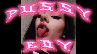 cuzy - Pussy Boy  [prod. necu]