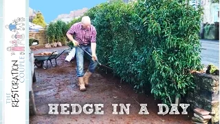 Planting an Instant Hedge