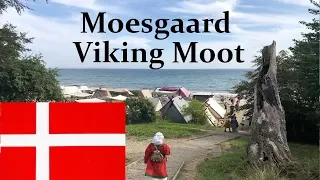 Moesgaard Viking Moot Festival - Aarhus / Højbjerg, Denmark 🇩🇰