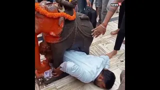 #Shorts | Man Gets Stuck Under Elephant Statue at Gujarat Temple, #viralvideo | News18