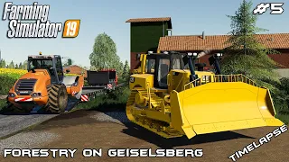 Building road | Forestry on Geiselsberg | Farming Simulator 19 | Episode 5