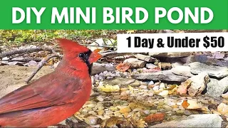 DIY Mini Bird Pond ~ Inexpensive and Easy to Build Water Feature Bath for Birds!
