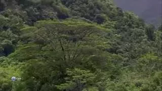 Маркизские острова - райский уголок. Marquesas Islands - paradise