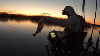 California Delta Morning #fishing #bassfishing