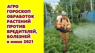 Агрогороскоп обработок растений против вредителей и болезней в июне 2021 года