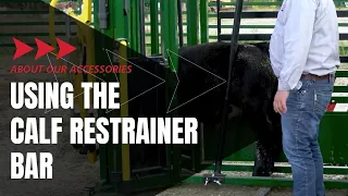 Trim, Brand and Band Cattle Safer & Easier | Cattle Chute Calf Restrainer Bar | Showcase