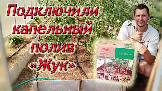 Как собрать капельный полив своими руками/ Капельный полив "ЖУК" от ёмкости/ Из Столицы в Деревню