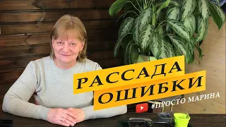 Выращивание рассады. Как избежать ошибок.