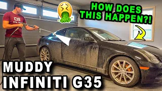 Deep Cleaning a NASTY Abused Infiniti! | The Detail Geek