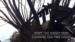 Cleaning old tree house