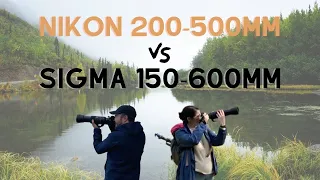 Comparing Nikon 200-500mm with Sigma 150-600mm in the field