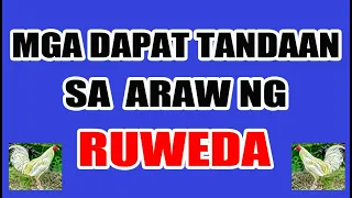 MGA DAPAT GAWIN SA ARAW NG RUWEDA