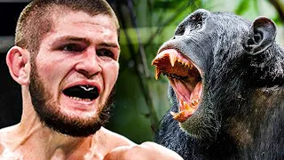 MMA Fighter vs Chimpanzee - Who Would Win?