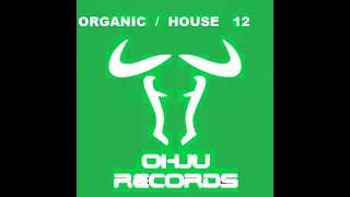 OHJU RECORDS ORGANIC HOUSE 12