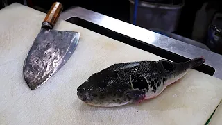 blowfish killing / pufferfish live sashimi cutting / Korean seafood