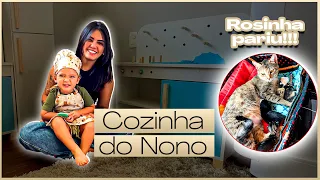 OS FILHOTINHOS DA ROSINHA NASCERAM E O NOAH GANHOU UMA MINI COZINHA!😍