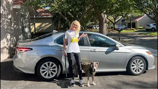 LIVE Driving Fort Lauderdale to NYC Road Trip w/Rental Car & Dog March 18, 2023