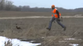 Hunter throws his bow at a pheasant when it runs away with an arrow stuck in it