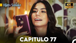 Pájaro Soñador Capítulo 77 (Doblado En Español 4K)