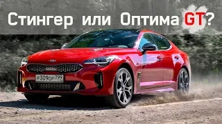 Валящий Stinger GT 2020. Но, Вы Купите Оптиму. ПОЧЕМУ? / Тест  kia stinger gt против kia optima gt