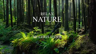 Relax Nature health Melodie Chill Sleep