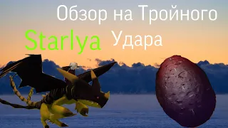 Обзор на дракона!