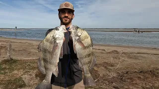 Packery Channel Fishing | Catching Black Drum for Dinner.