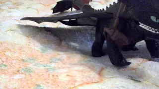 Гигантский Огнедыщащий Беззубик-обзор на дракона #3