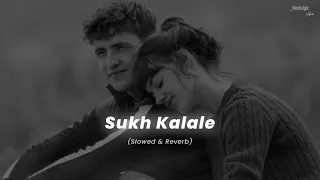 Sukh Kalale - (Slowed & Reverb) | Shreya Ghoshal | Nostalgic