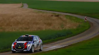 Osterrallye Zerf 2024 | Onboard WP8 | Reiter/Nemenich