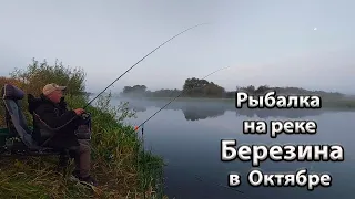 Осенняя рыбалка на реке Березина.