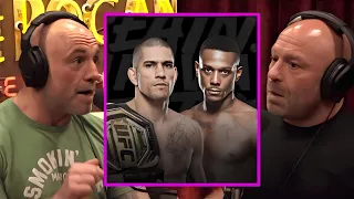 The Boys on Alex Pereira vs Jamahal Hill at UFC 300 #joerogan #ufc #boxing #jonjones #tysonfury #jre