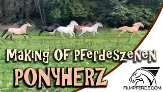 Making Of der Pferdeszenen bei Ponyherz - Brego & Macchiato für die Filmpferde.com