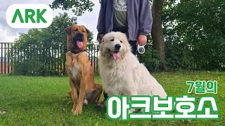 7월 하이라이트 영상