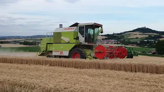 Weizen Dreschen 2020 mit Claas Dominator 68 S