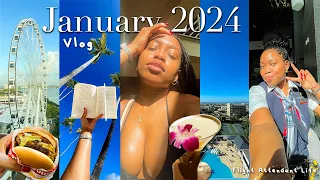 Long January Vlog | Flight Attendant Life! Come With Me To Mexico, Jamaica, Dominican Republic, LA+
