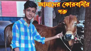 আমরা এখন গরুর হাটে | Cow Video | Qurbani 2022 | Qurbani Goru