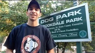 Dog Park Safety