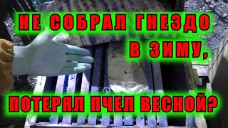 НЕ СОБРАЛ ПЧЕЛ В ЗИМУ, ПОТЕРЯЛ ПЧЕЛ ВЕСНОЙ?