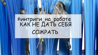 Моббинг на работе. Ошибки в поведении  "жертвы", делающие ее "легкой добычей"