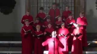 The Choristers of Jesus College Cambridge/England: Da pacem Domine, EJCF Basel 2014