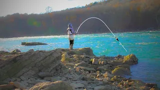 When STEELHEAD FISHING goes WRONG...