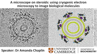 A microscope on steroids: using cryogenic electron microscopy to image biological molecules