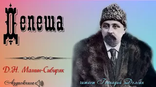 Д. Н. Мамин-Сибиряк. ДЕПЕША. Рассказ. Читает Геннадий Долбин