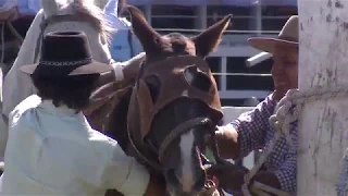 Basto Oriental Lunes 26/3 Criolla del Prado 2018