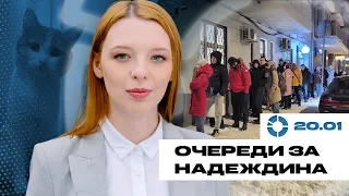 Очереди за Надеждина | Проводница выгнала кота Твикса | Чем вредна борьба с ЛГБТ | ЧС в Новосибирске