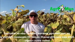 Соняшник НС Імісан від Юг Агролідер