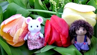 Мышки и Ёжик Sylvanian Families играют в саду. Мультики с игрушками для детей