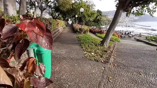 Santa Catarina Park  Funchal Madeira  2020